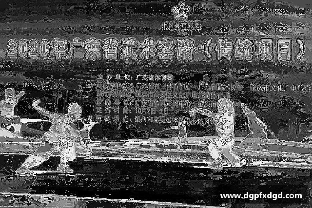 关于多多28